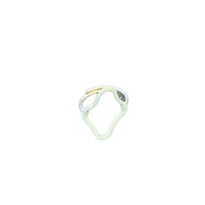 CHROMATIC CANVAS RING (MINT)